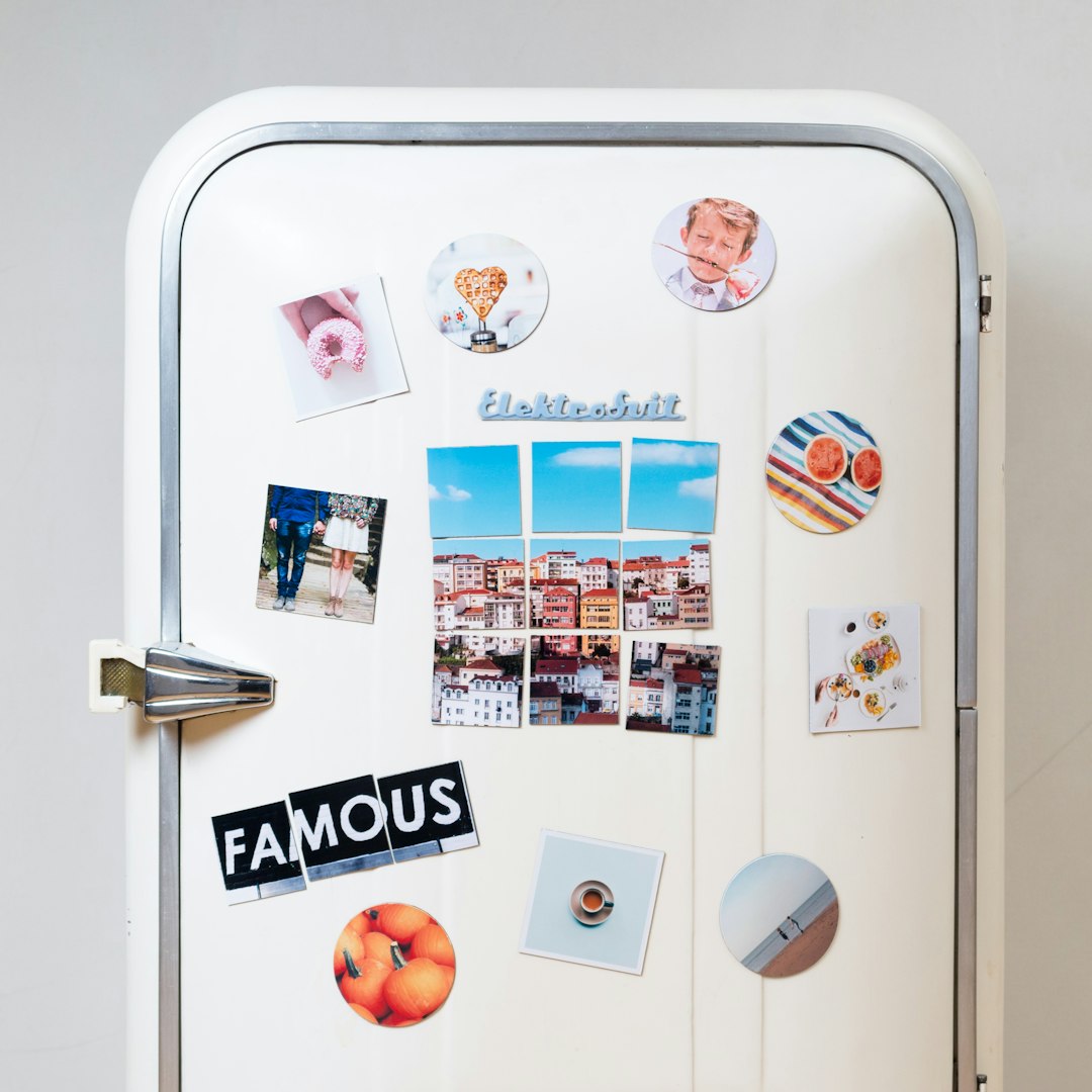 Double-Door Fridge Of Dreams