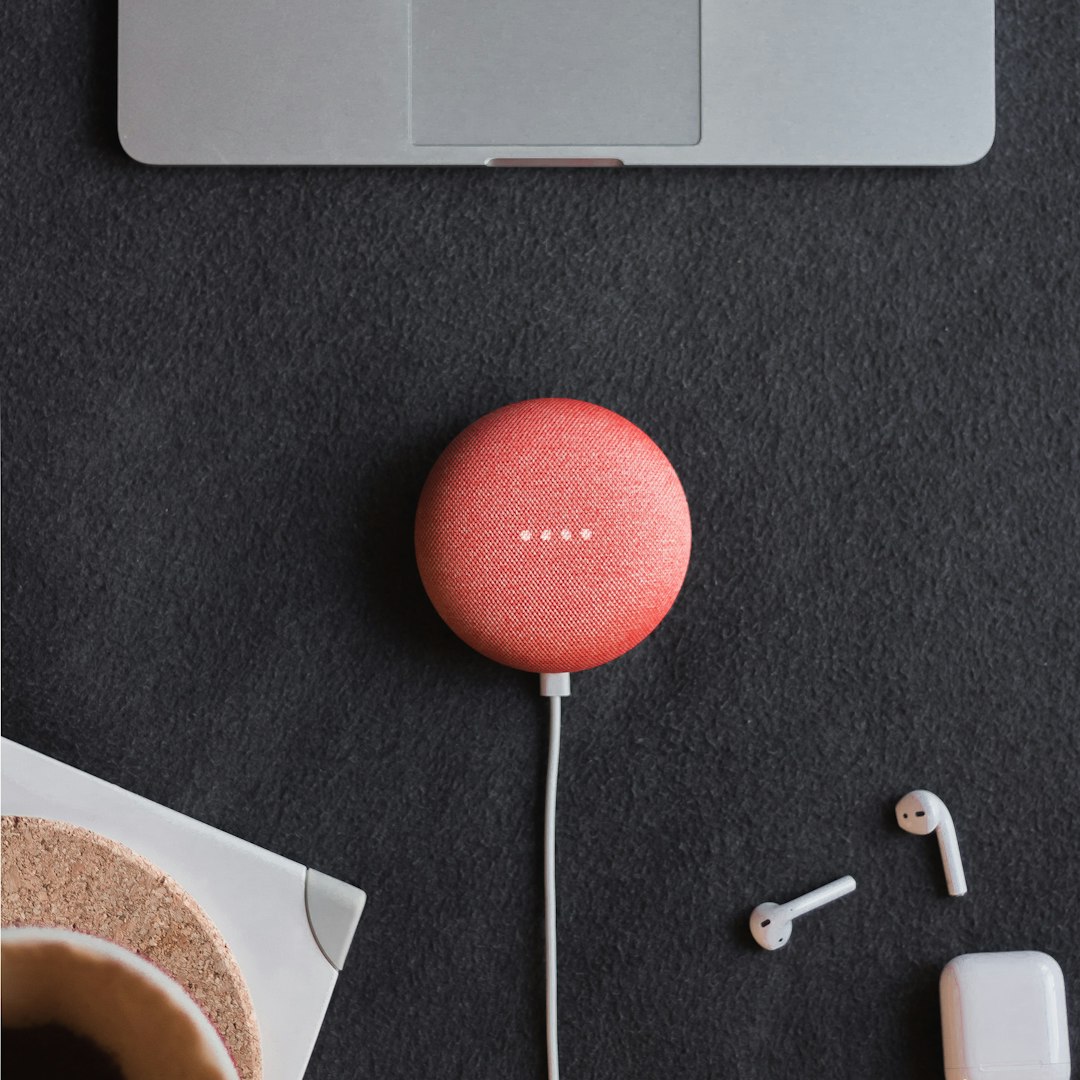 Echo Dot That Ignores You